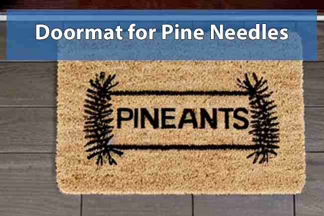 Best Doormat for Pine Needles